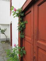 Molino Don Ramón (3)