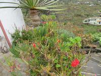 Molino Don Ramón (15)