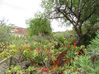 Molino Don Ramón (16)