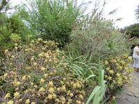 Molino Don Ramón (17)