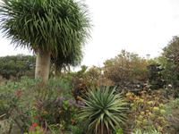 Molino Don Ramón (18)