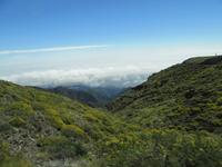 Roque Los Muchachos (1)