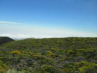 Roque Los Muchachos (3)