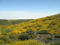 Roque Los Muchachos (4)