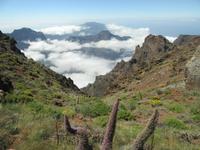 Roque Los Muchachos (16)