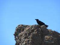 Roque Los Muchachos (20)