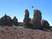 Roque Los Muchachos (21)