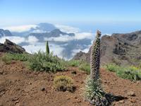 Roque Los Muchachos (28)