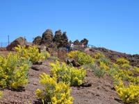 Roque Los Muchachos (30)