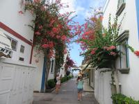 Puerto de Mogán (2)