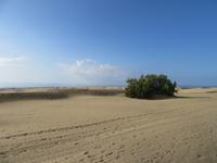 Maspalomas (5)