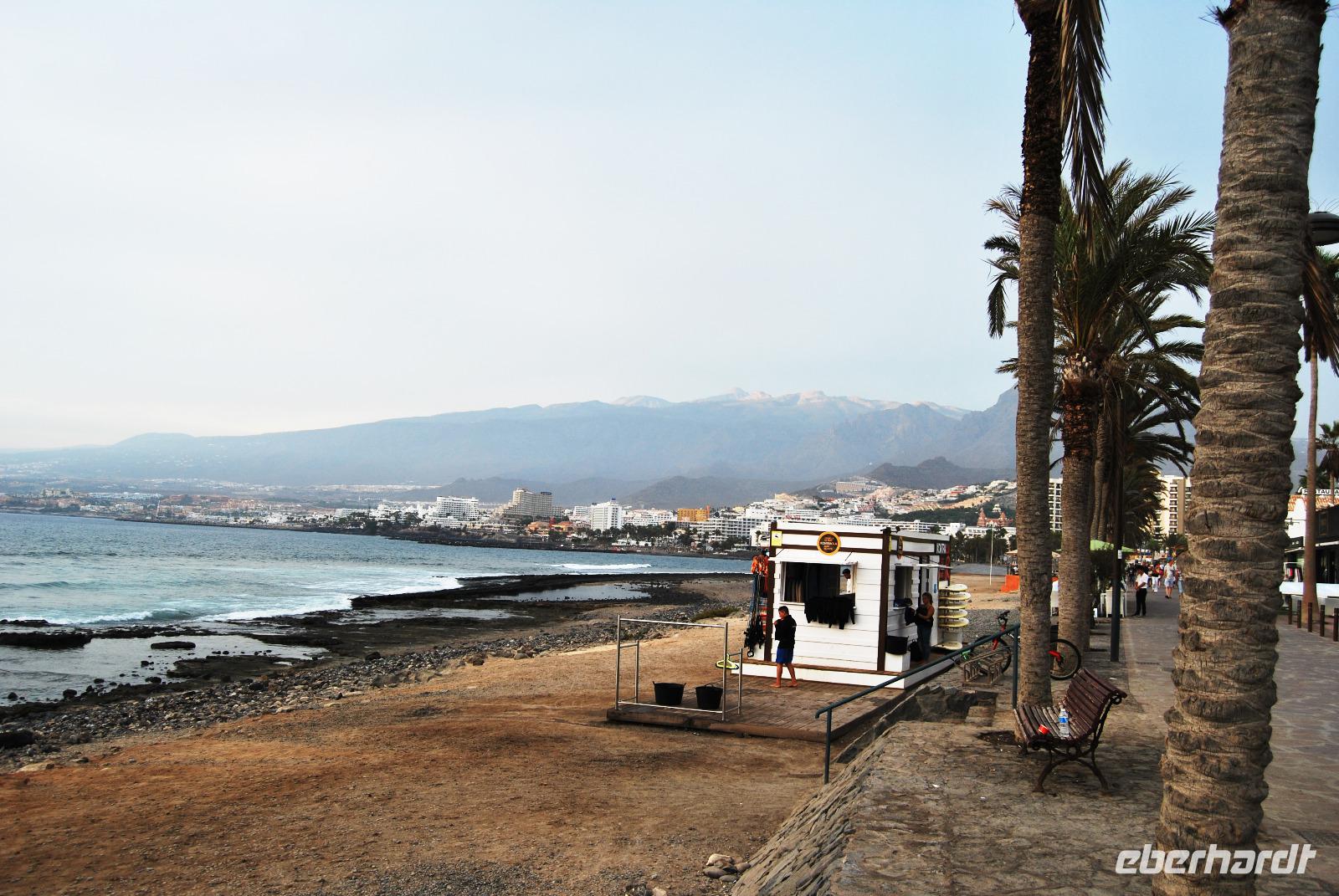 Playa de las Americas - Surf Shop