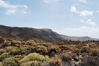 Nationalpark El Teide