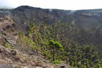 Volcan San Antonio