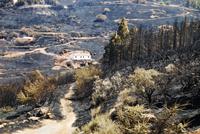 Waldbrand auf Gran Canaria