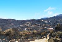 Waldbrand auf Gran Canaria