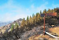 Waldbrand auf Gran Canaria