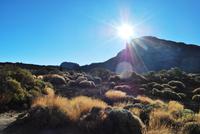 Teide Nationalpark