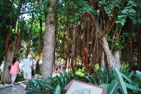 Santa Cruz de Tenerife 