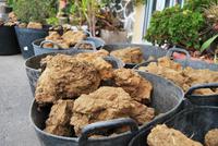 La Gomera - Töpferwerkstätten