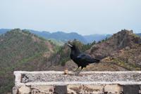 Caldera de Taburiente