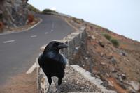 Caldera de Taburiente