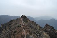 Roque de los Muchachos