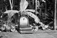 Arucas Garten der Gräfin