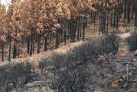 Mirador de Degollada Becerra