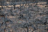 Mirador de Degollada Becerra