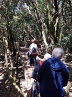 Ausflug Anagagebirge (6)