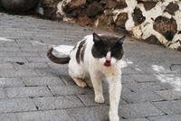 Gran Canaria - Fataga