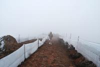 La Palma - Observatorium