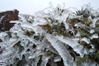 La Palma - Observatorium