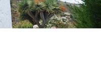 La Palma - Don Ramon - Töpferei