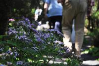 La Gomera - Roque de Agando