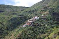 Teneriffa - Masca Schlucht