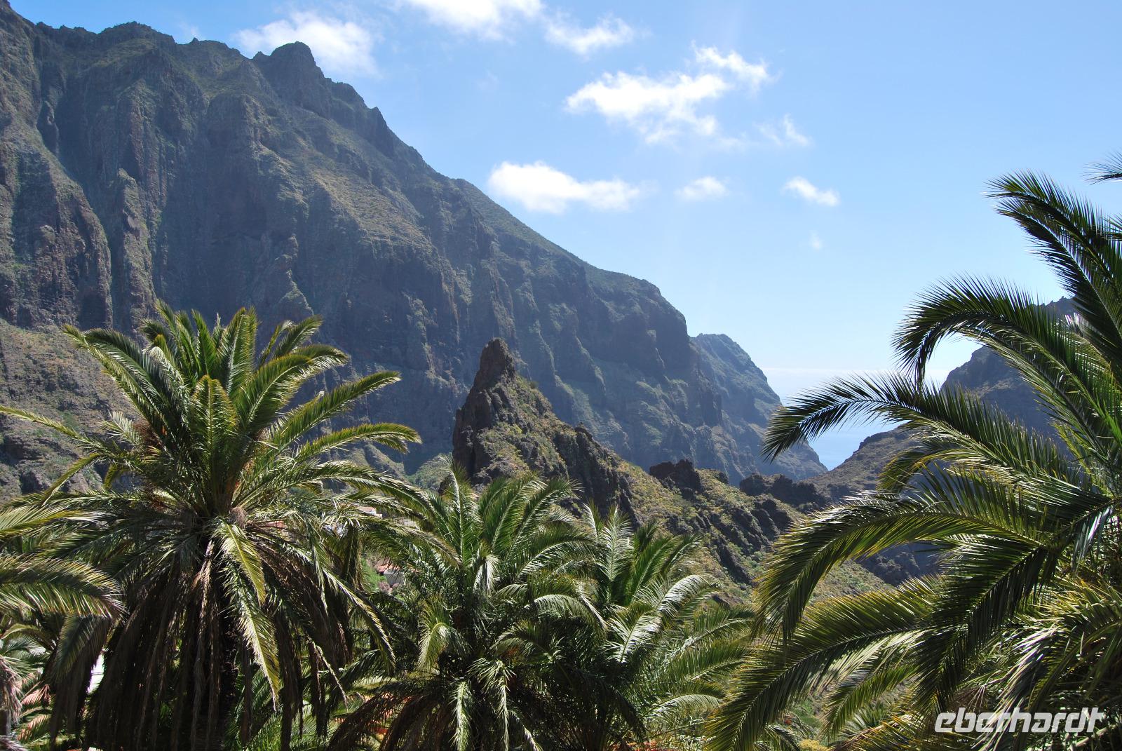 Teneriffa - Masca Schlucht