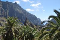 Teneriffa - Masca Schlucht
