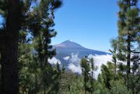 Teneriffa - Teide Nationalpark
