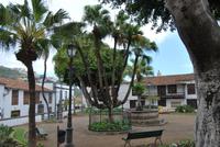 Teneriffa - Icod de los Vinos