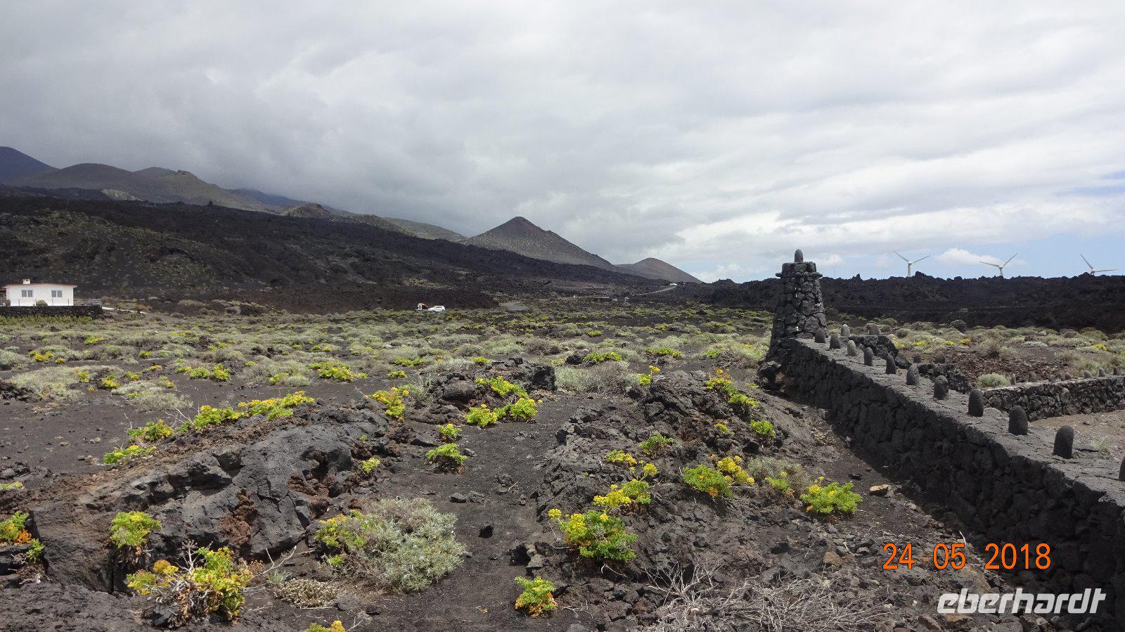 Tag - La Palma - Lavagestein