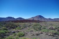 La Caldera Lava-Feld - Teneriffa