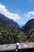 Masca-Schlucht - Teneriffa