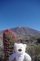 Teide-Vulkan
