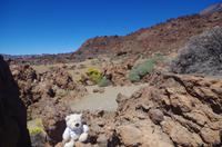 La Caldera - Teneriffa