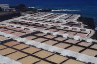 Saline - La Palma