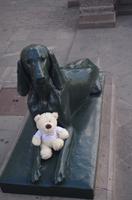 kleine tierische Begegnungen