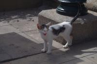 kleine tierische Begegnungen