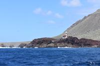 Los Gigantes - Bootsfahrt